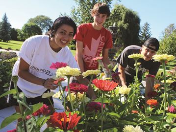 Creating Gardens That Bring Peace